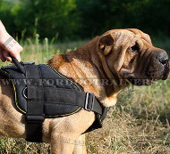 Walking Shar Pei Harness with Handle, Strong Nylon