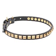 Splendid Design of Dog Leather Collar with Square Brass Studs